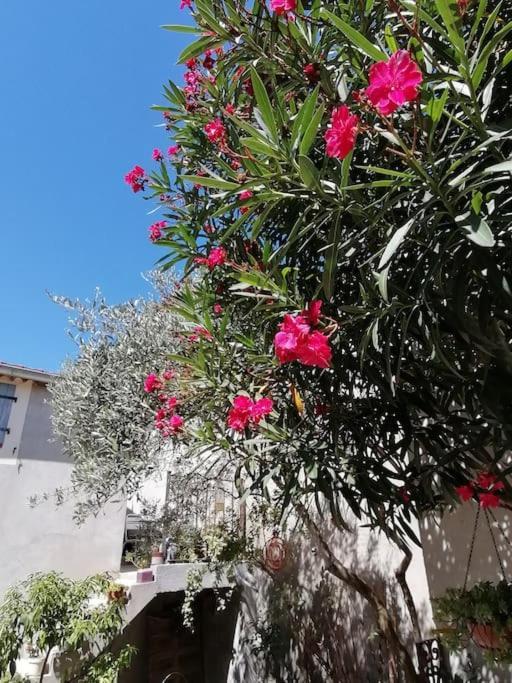 La Chamade Maison De Village Climatisee Lapalud Εξωτερικό φωτογραφία
