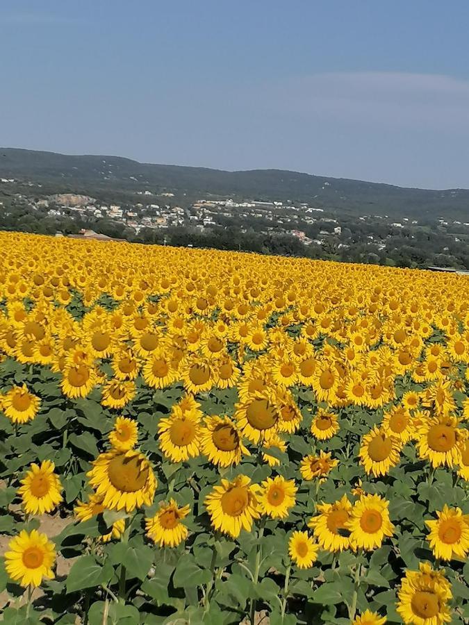 La Chamade Maison De Village Climatisee Lapalud Εξωτερικό φωτογραφία